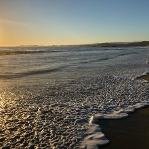 Meet your Posher, Ruth